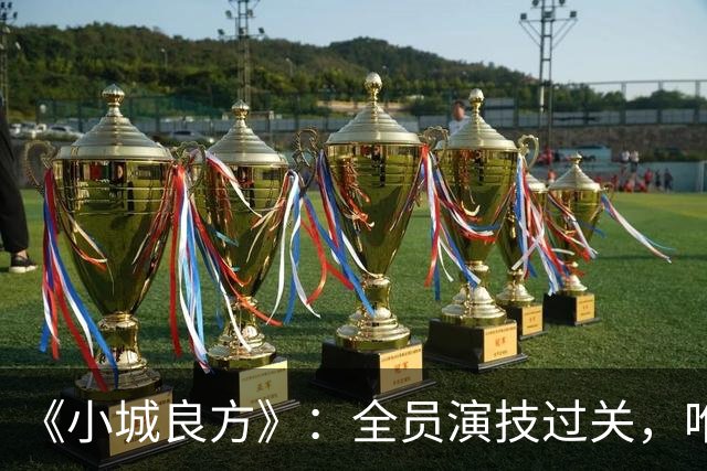 《小城良方》：全员演技过关，唯有一人是败笔，全程耷拉着脸！