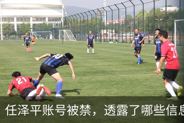 任泽平账号被禁，透露了哪些信息？