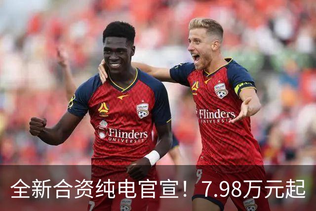 全新合资纯电官宣！7.98万元起