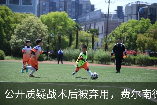 公开质疑战术后被弃用，费尔南德斯与卡里克摊牌