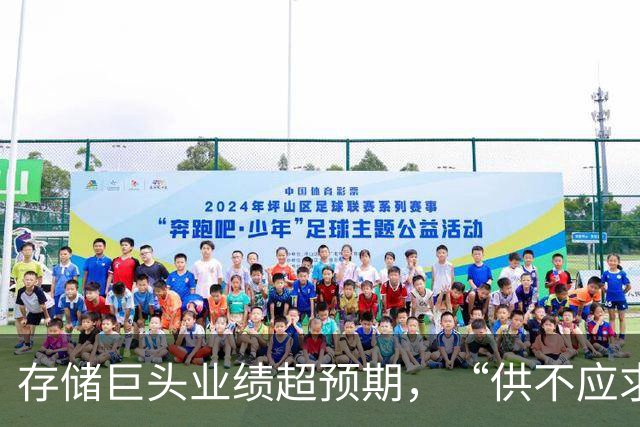 存储巨头业绩超预期，“供不应求持续到2030年”