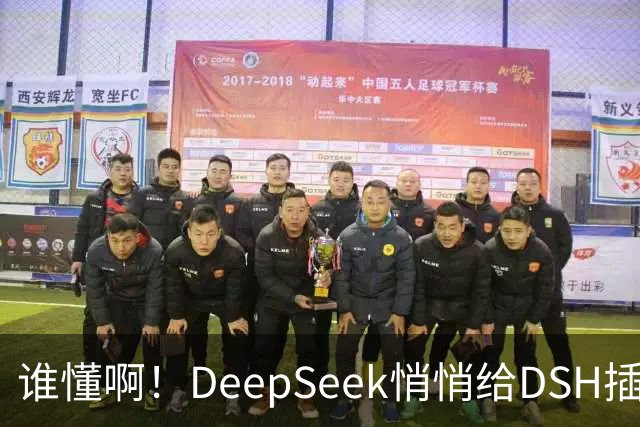 谁懂啊！DeepSeek悄悄给DSH插件开发者发钱了