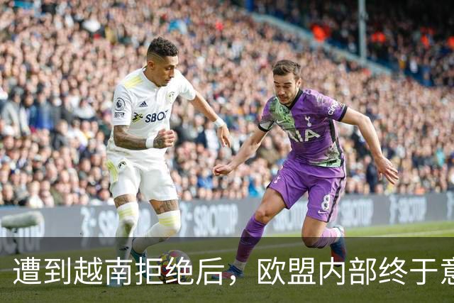 遭到越南拒绝后，欧盟内部终于意识到：什么叫 “中国力量”！