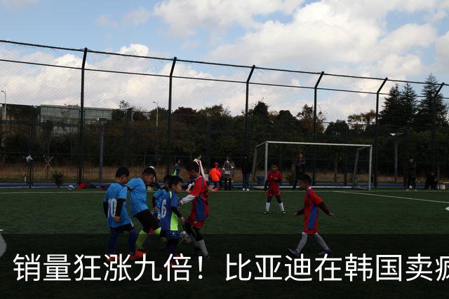 销量狂涨九倍！比亚迪在韩国卖疯了：反超沃尔沃、丰田