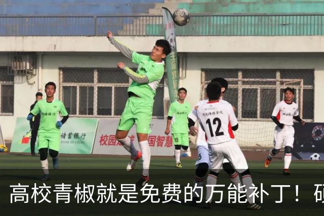 高校青椒就是免费的万能补丁！硕士点申报、师范认证、科研秘书......一样都没有落下，结果等到奖励的时候，什么都没有！！