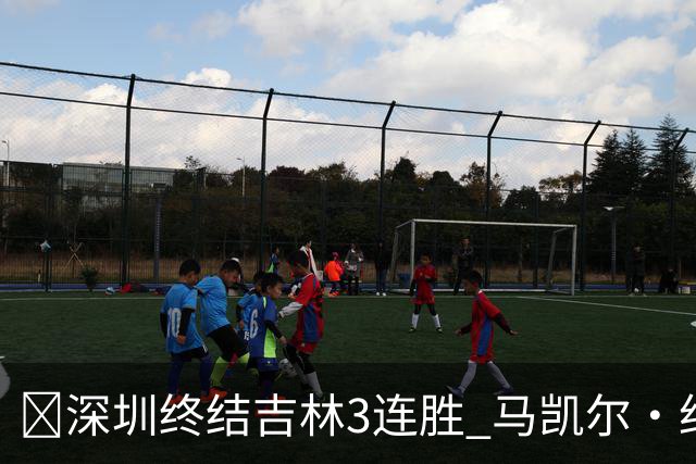 🏀深圳终结吉林3连胜 马凯尔·约翰逊绝杀上篮 威尔逊21+12+6