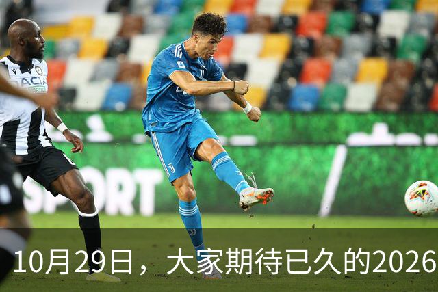 10月29日，大家期待已久的2026退休养老金，究竟涨还是不涨？